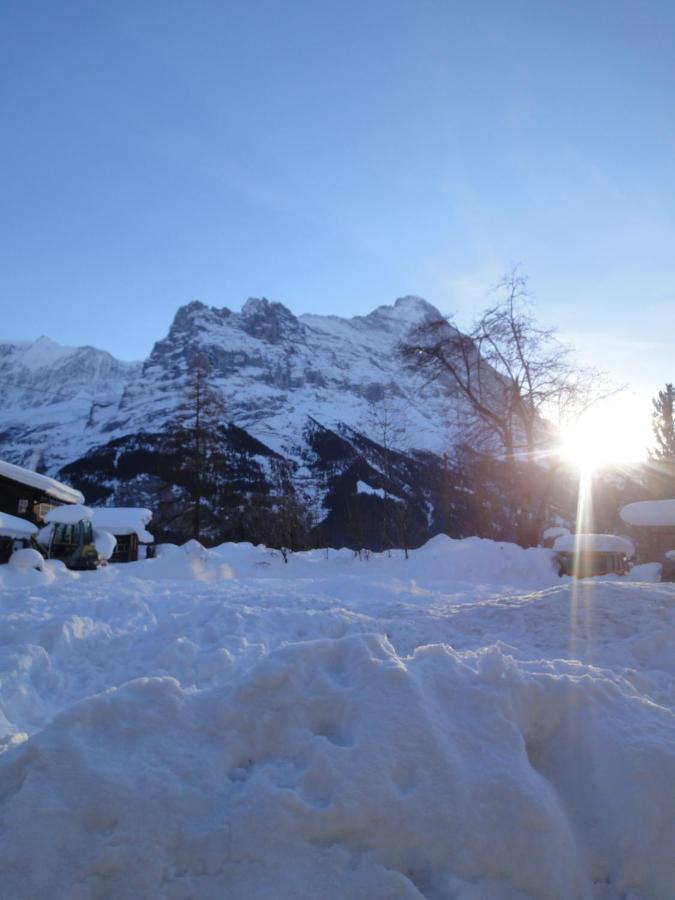 Chalet Engi Apt 1 For Up To 8 People Grindelwald Esterno foto