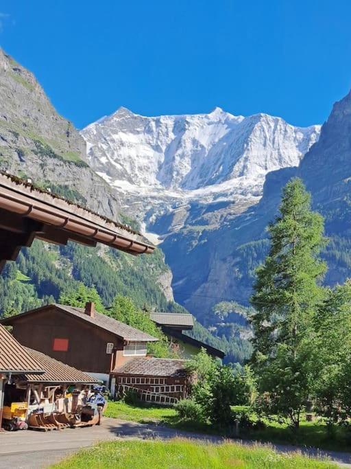 Chalet Engi Apt 1 For Up To 8 People Grindelwald Esterno foto