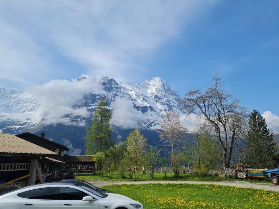 Chalet Engi Apt 1 For Up To 8 People Grindelwald Esterno foto