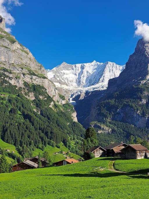 Chalet Engi Apt 1 For Up To 8 People Grindelwald Esterno foto